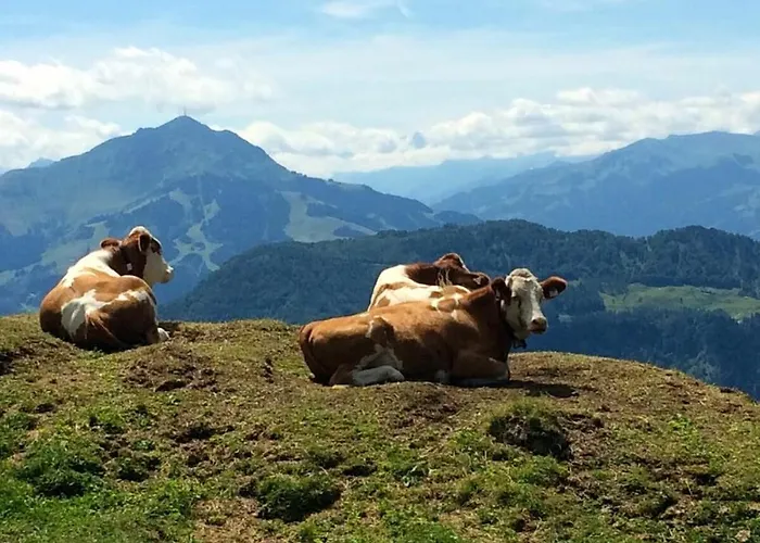 No 6 Tame Emperor * 라이트임윙클